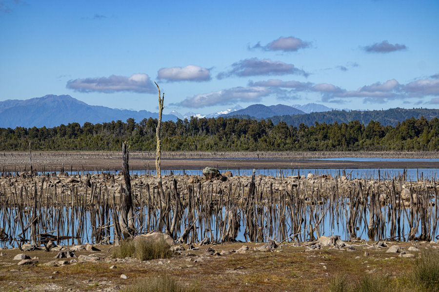 Westcoast Wilderness 01